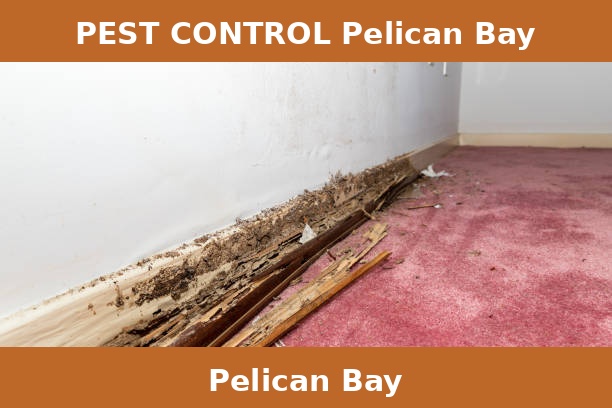 PEST CONTROL Pelican Bay